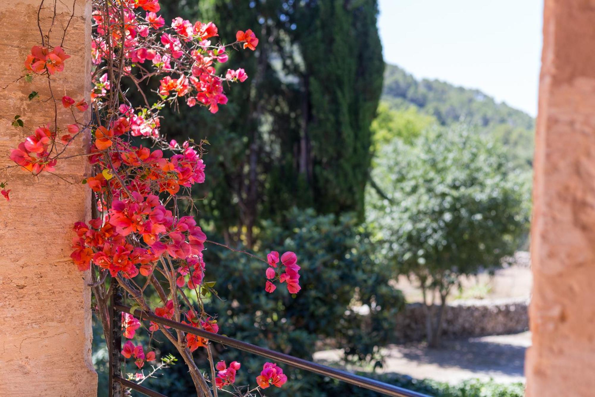 Fangar Agroturismo Campanet Kültér fotó