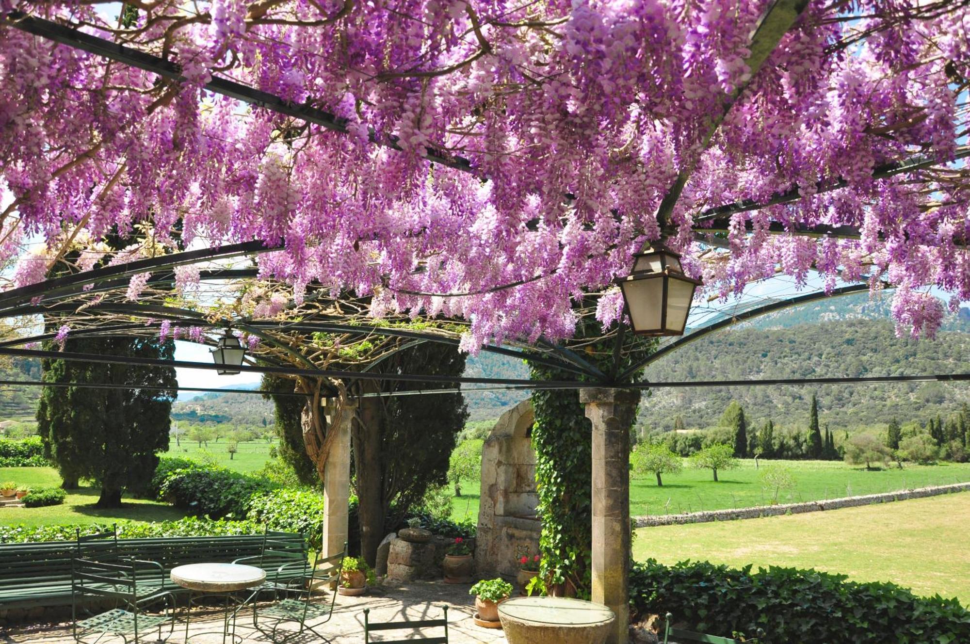 Fangar Agroturismo Campanet Kültér fotó